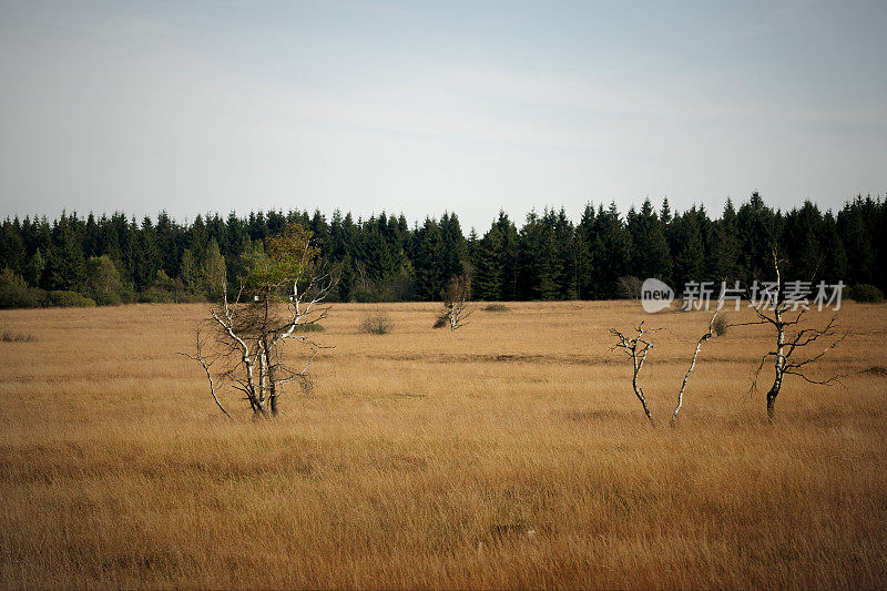 Hautes Fagnes 和 Baraque Michel